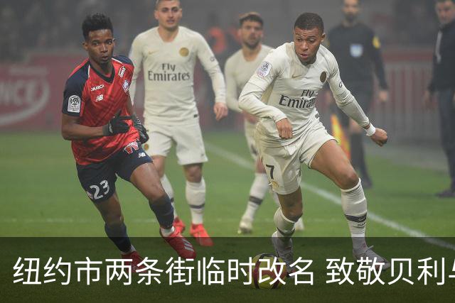 纽约市两条街临时改名 致敬贝利与亨利